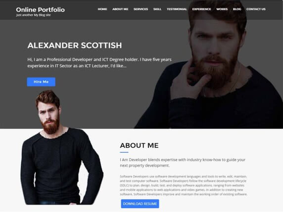 Online Portfolio: Best portfolio WordPress themes