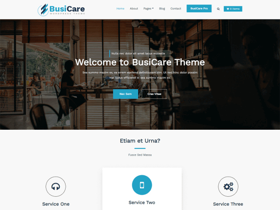 Busicare