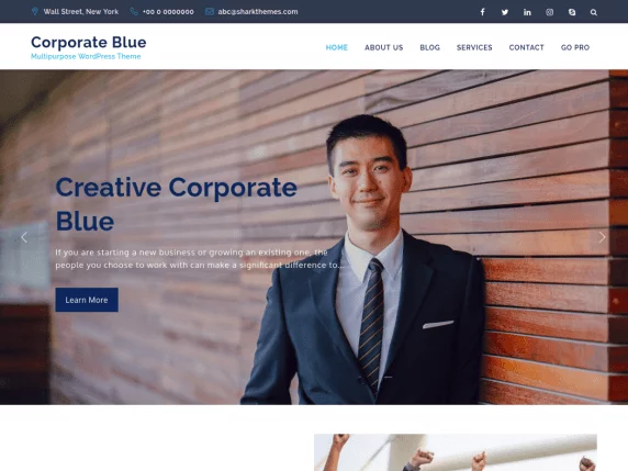 Corporate Blue